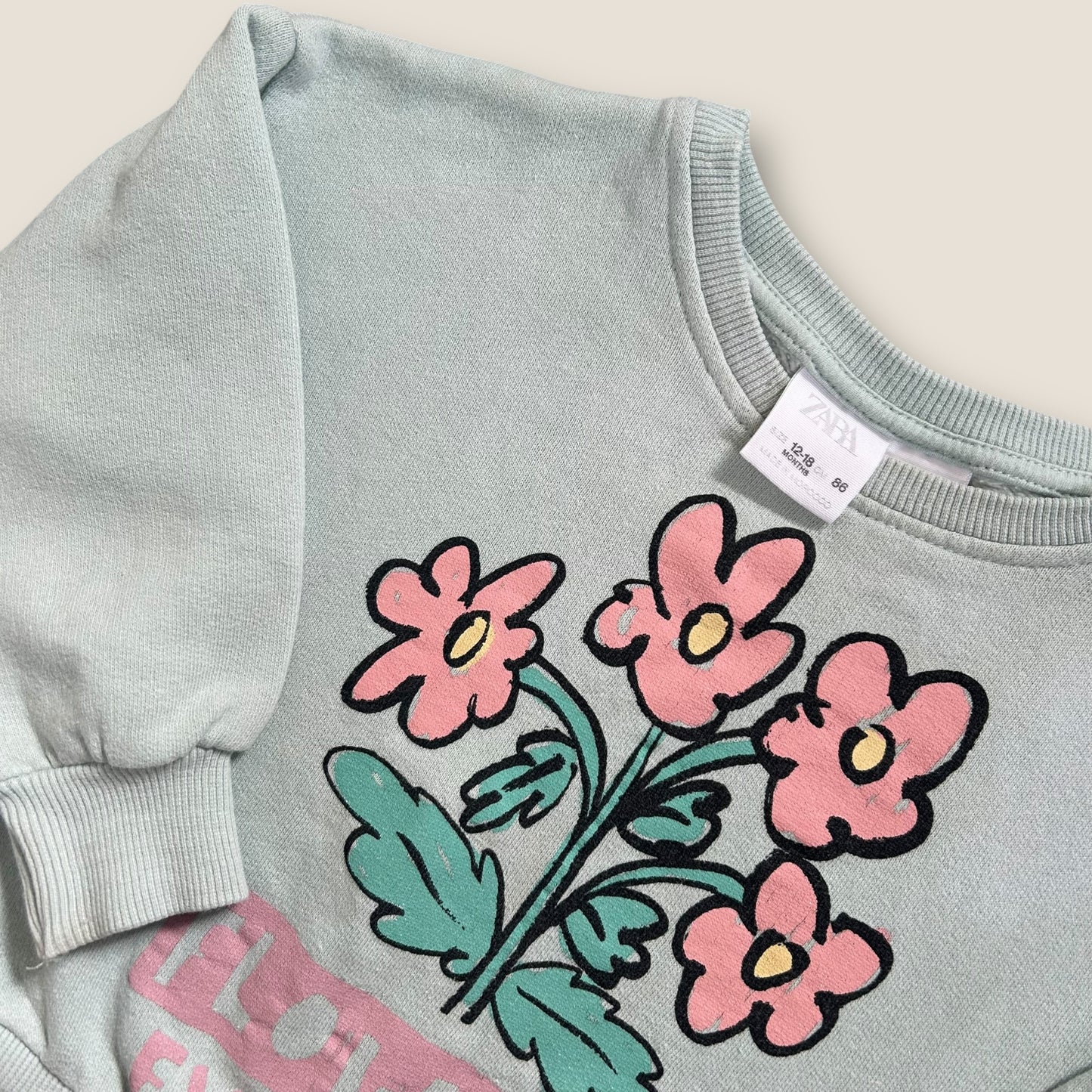12-18 Months Zara Light Blue Floral Graphic Sweatshirt