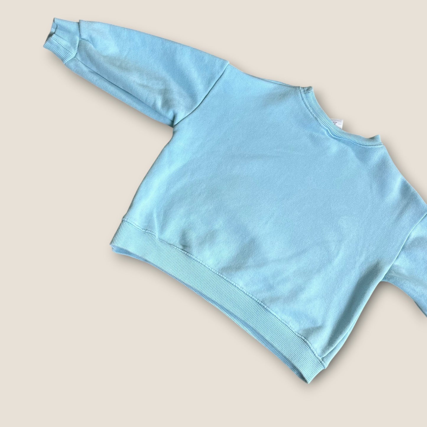 5-6 Years Zara Blue Dog Graphic Sweatshirt