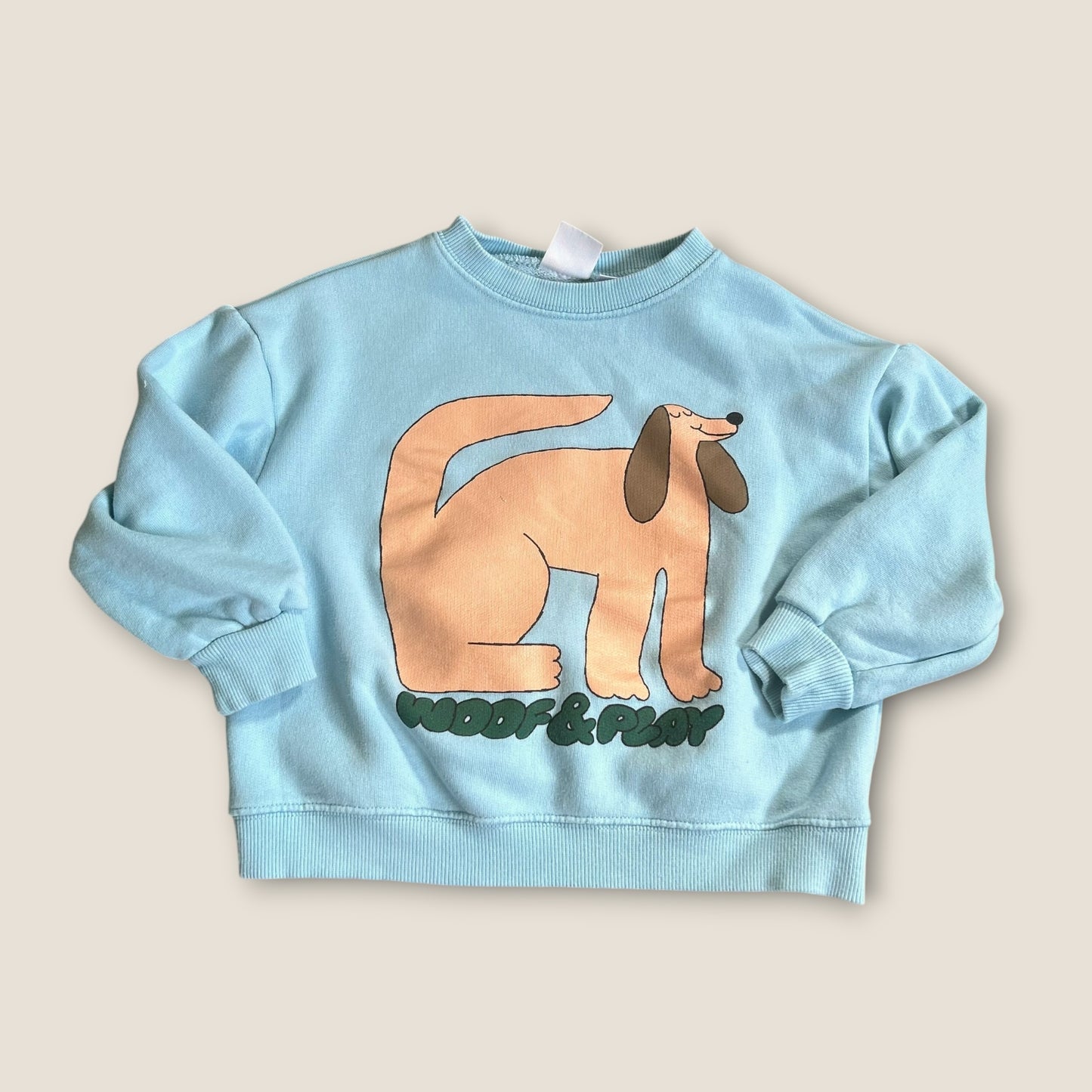 5-6 Years Zara Blue Dog Graphic Sweatshirt