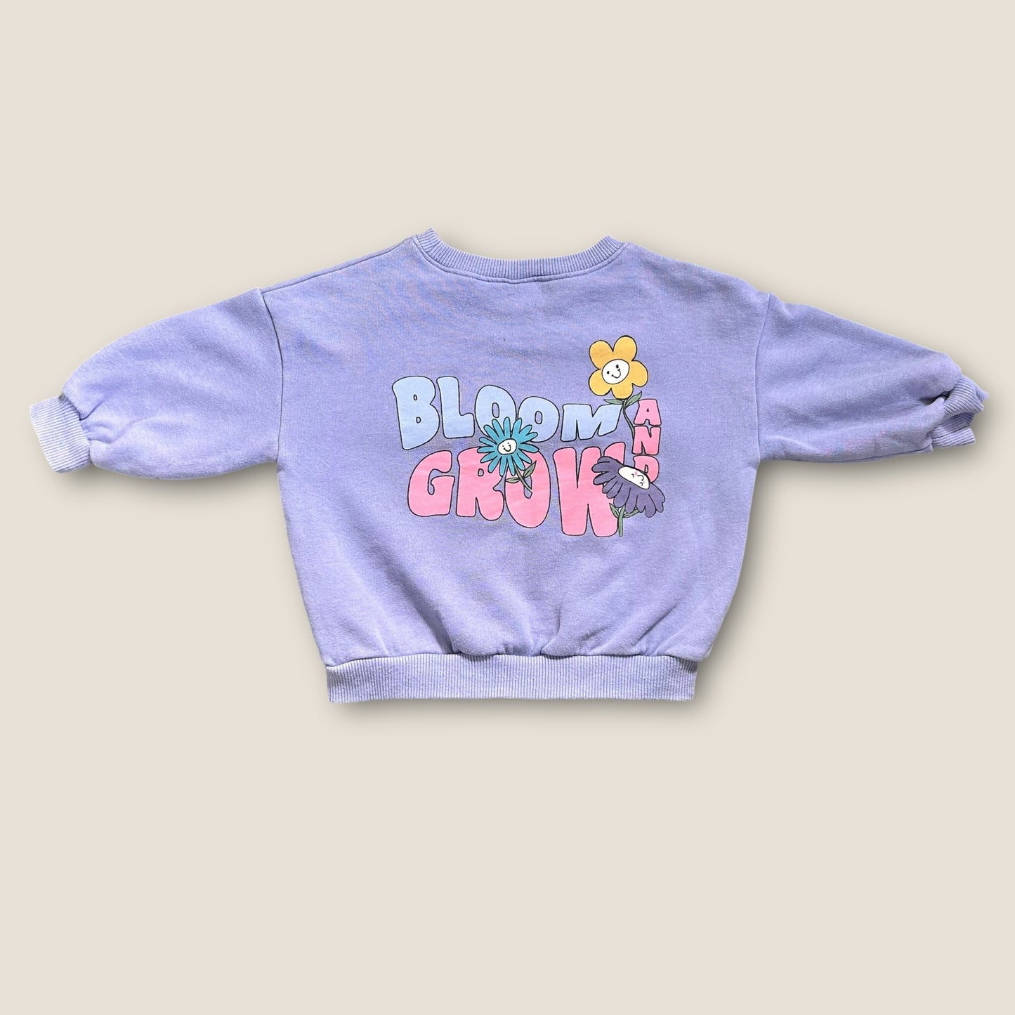 12-18 Months Next Blue Floral Graphic Sweatshirt