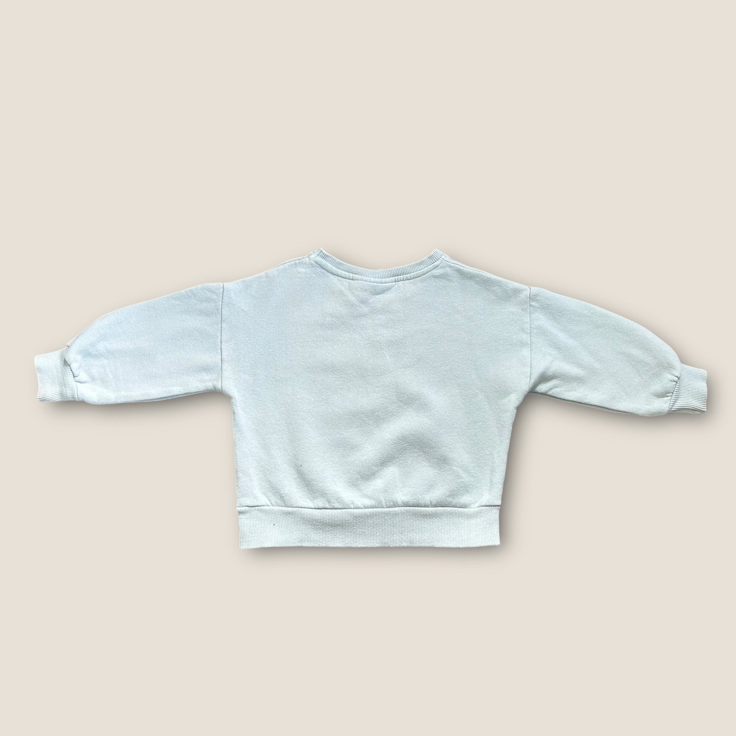 12-18 Months Zara Light Blue Floral Graphic Sweatshirt