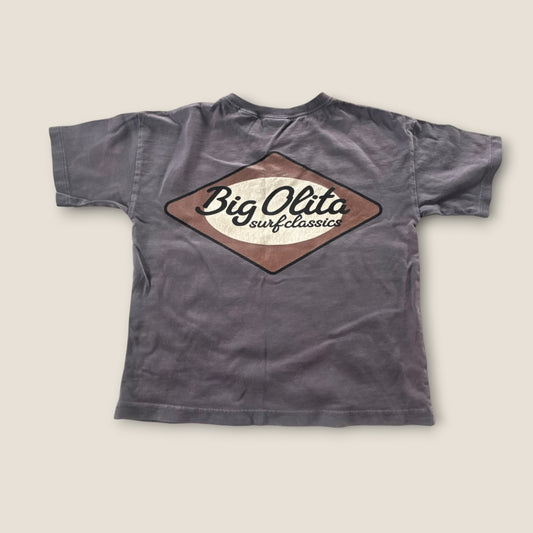 2-3 Years Zara Charcoal Grey Graphic Print T-Shirt