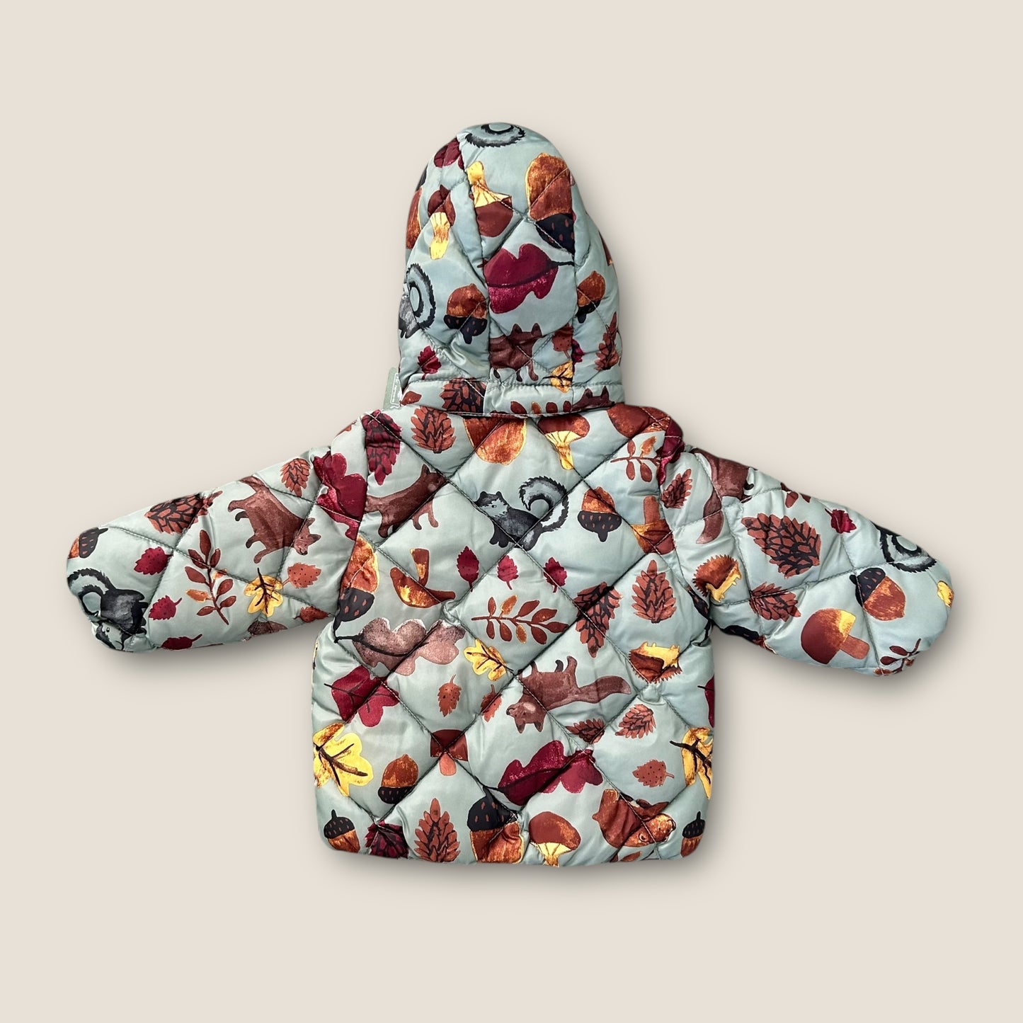 4-6 Months H&M Khaki Green Autumn Print Acorn Leaves Puffer Coat New