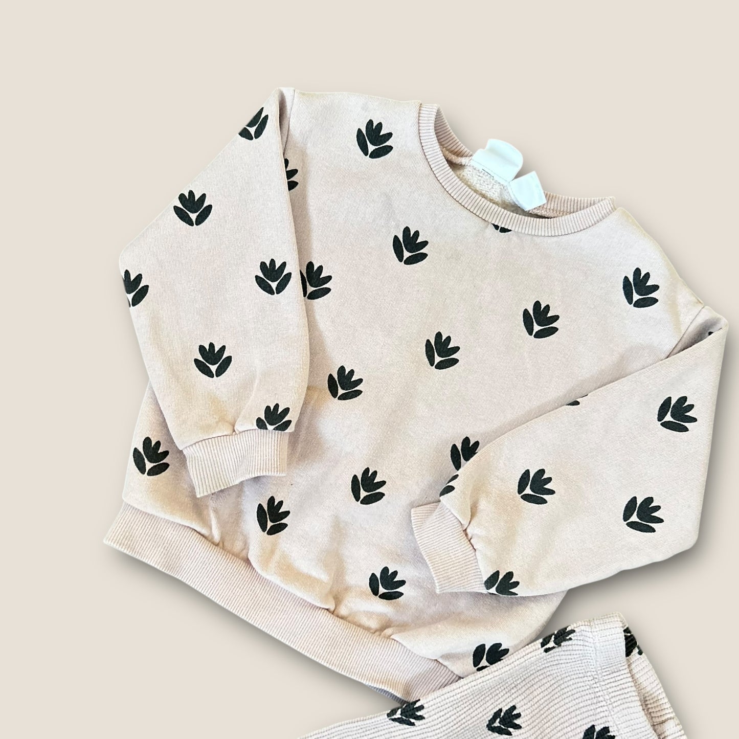 18-24 Months Zara Pink Floral Printed Sweatshirt and Leggings Set Co Ord